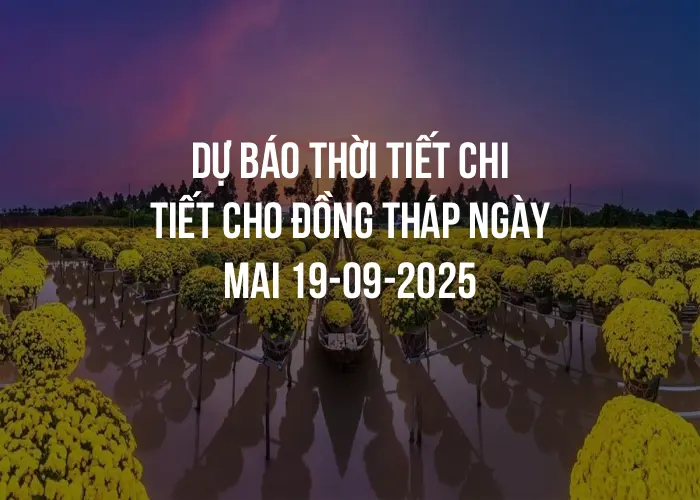 Dự báo thời tiết chi tiết cho Đồng Tháp ngày mai 19-09-2025
