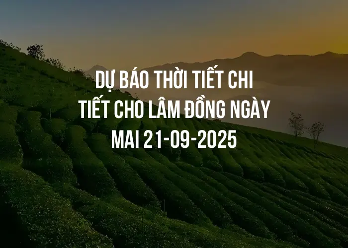 Dự báo thời tiết chi tiết cho Lâm Đồng ngày mai 21-09-2025