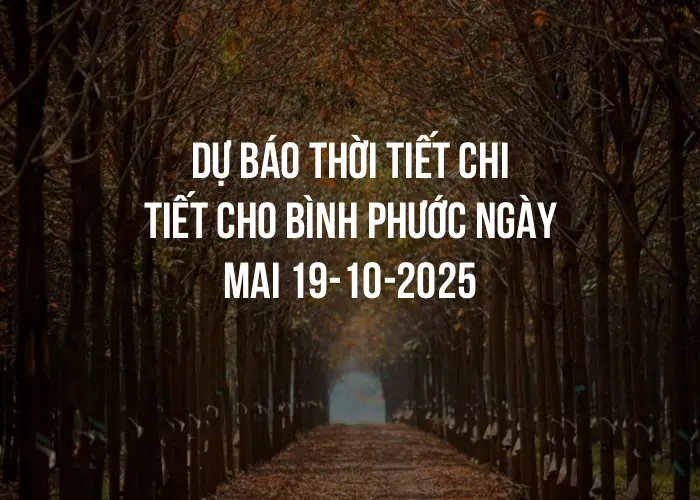 Dự báo thời tiết chi tiết cho Bình Phước ngày mai 19-10-2025
