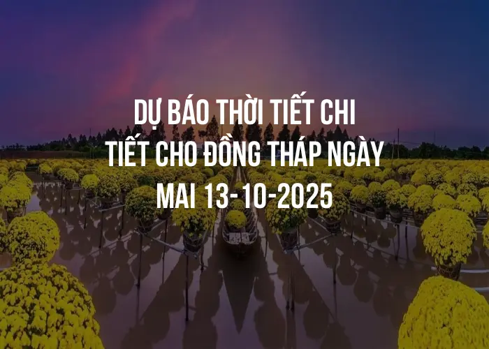 Dự báo thời tiết chi tiết cho Đồng Tháp ngày mai 13-10-2025