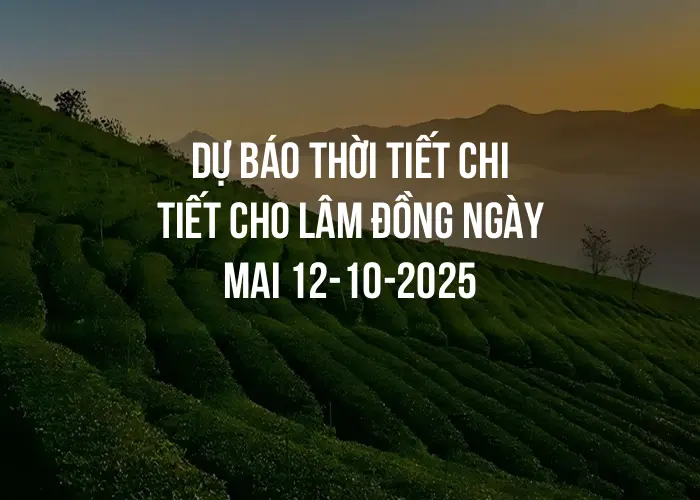 Dự báo thời tiết chi tiết cho Lâm Đồng ngày mai 12-10-2025