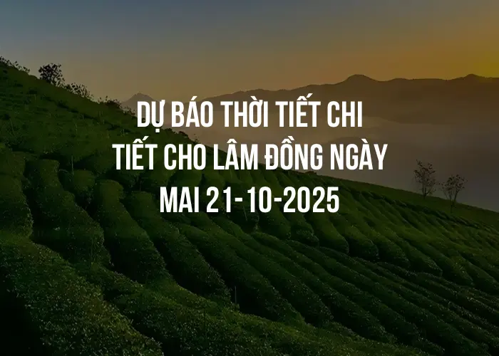 Dự báo thời tiết chi tiết cho Lâm Đồng ngày mai 21-10-2025