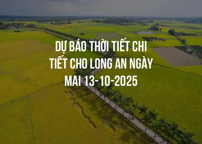 Dự báo thời tiết chi tiết cho Long An ngày mai 13-10-2025