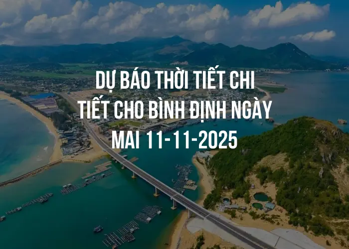 Dự báo thời tiết chi tiết cho Bình Định ngày mai 11-11-2025