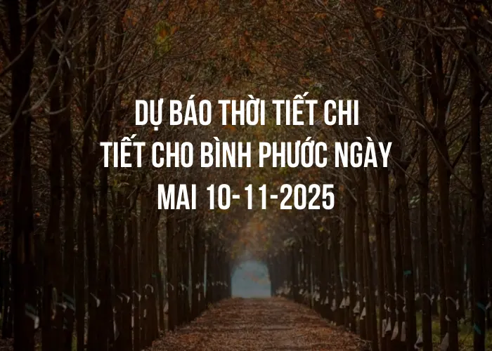 Dự báo thời tiết chi tiết cho Bình Phước ngày mai 10-11-2025