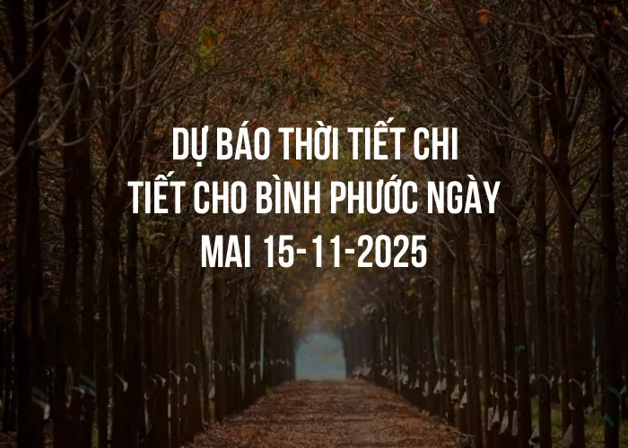 Dự báo thời tiết chi tiết cho Bình Phước ngày mai 15-11-2025