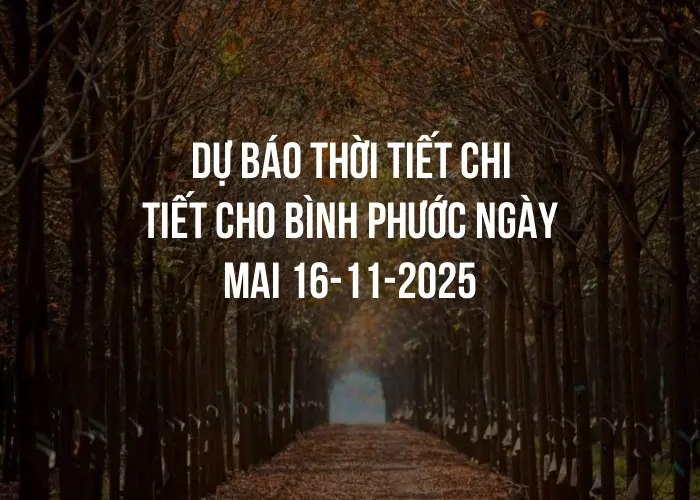 Dự báo thời tiết chi tiết cho Bình Phước ngày mai 16-11-2025