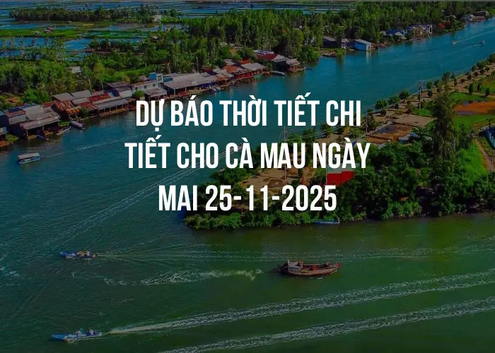 Dự báo thời tiết chi tiết cho Cà Mau ngày mai 25-11-2025