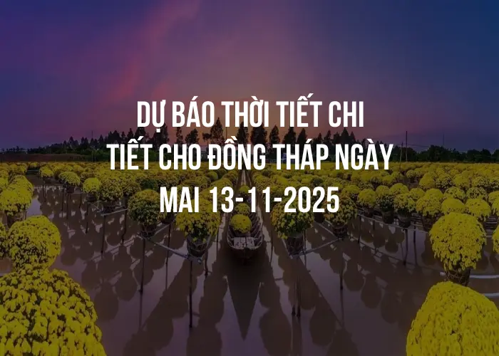 Dự báo thời tiết chi tiết cho Đồng Tháp ngày mai 13-11-2025