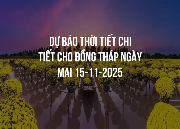 Dự báo thời tiết chi tiết cho Đồng Tháp ngày mai 15-11-2025