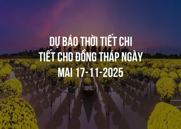Dự báo thời tiết chi tiết cho Đồng Tháp ngày mai 17-11-2025