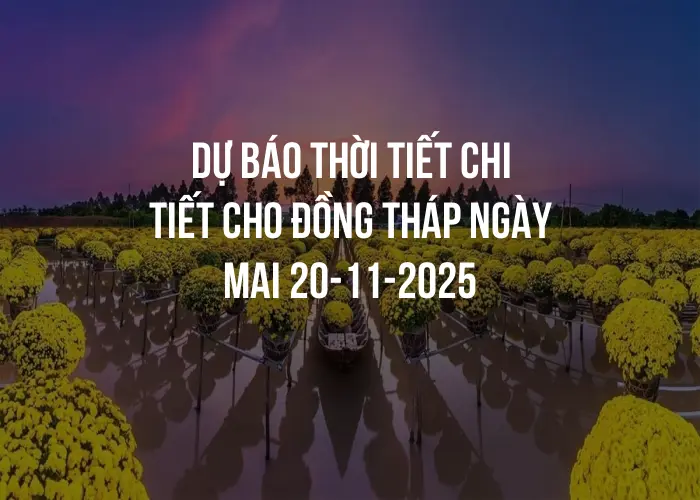 Dự báo thời tiết chi tiết cho Đồng Tháp ngày mai 20-11-2025