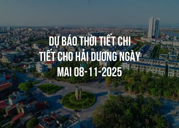 Dự báo thời tiết chi tiết cho Hải Dương ngày mai 08-11-2025