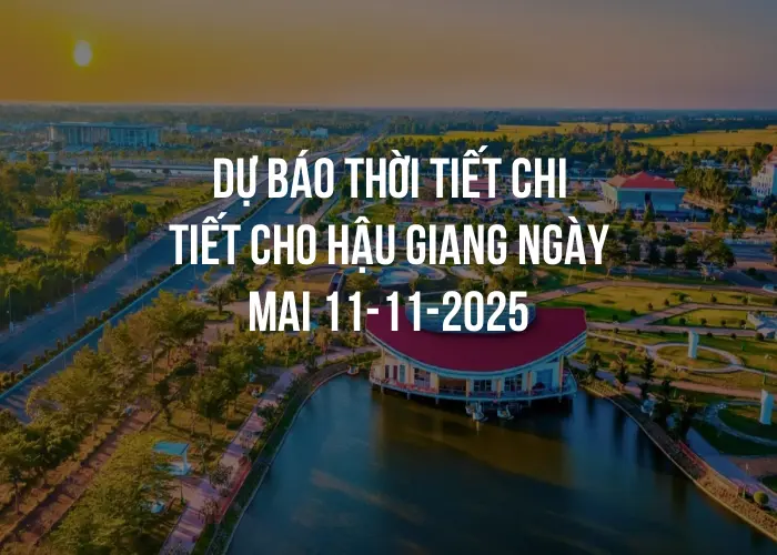 Dự báo thời tiết chi tiết cho Hậu Giang ngày mai 11-11-2025