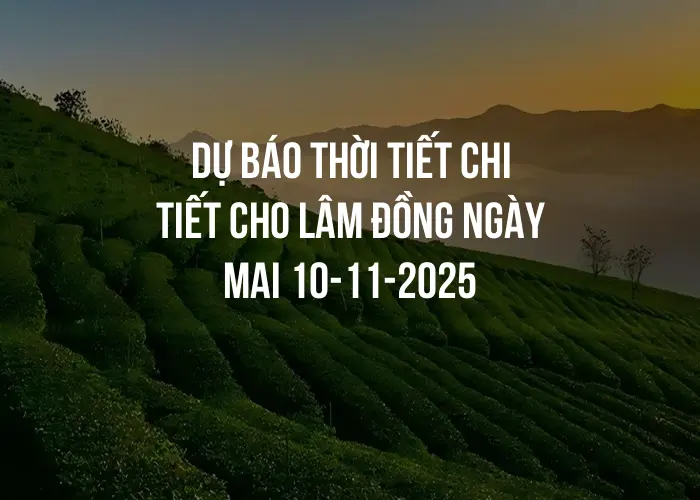 Dự báo thời tiết chi tiết cho Lâm Đồng ngày mai 10-11-2025