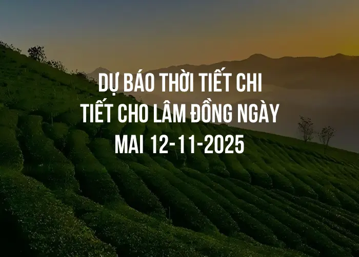 Dự báo thời tiết chi tiết cho Lâm Đồng ngày mai 12-11-2025