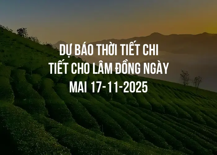 Dự báo thời tiết chi tiết cho Lâm Đồng ngày mai 17-11-2025