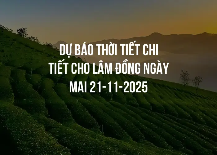 Dự báo thời tiết chi tiết cho Lâm Đồng ngày mai 21-11-2025