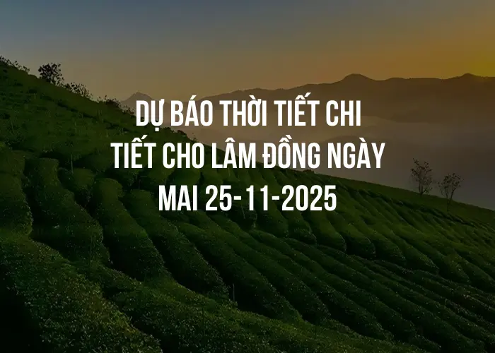 Dự báo thời tiết chi tiết cho Lâm Đồng ngày mai 25-11-2025