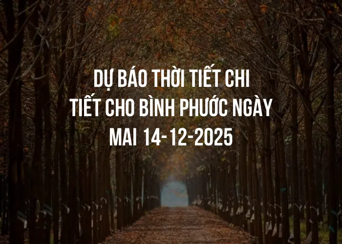 Dự báo thời tiết chi tiết cho Bình Phước ngày mai 14-12-2025
