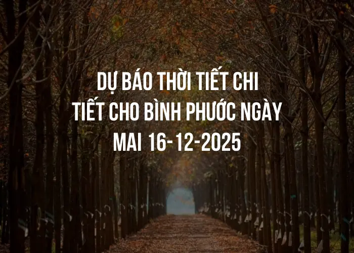 Dự báo thời tiết chi tiết cho Bình Phước ngày mai 16-12-2025