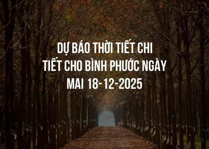 Dự báo thời tiết chi tiết cho Bình Phước ngày mai 18-12-2025