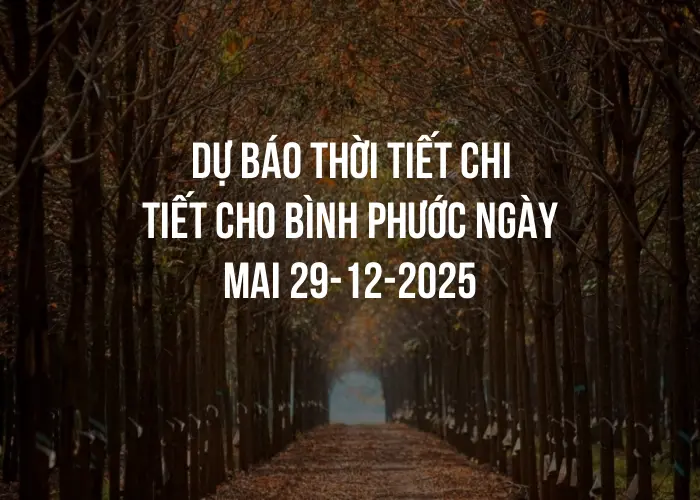 Dự báo thời tiết chi tiết cho Bình Phước ngày mai 29-12-2025