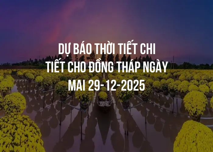 Dự báo thời tiết chi tiết cho Đồng Tháp ngày mai 29-12-2025