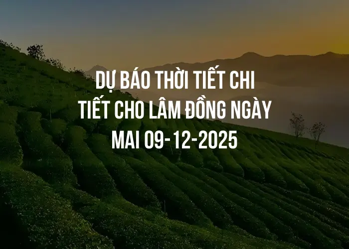 Dự báo thời tiết chi tiết cho Lâm Đồng ngày mai 09-12-2025