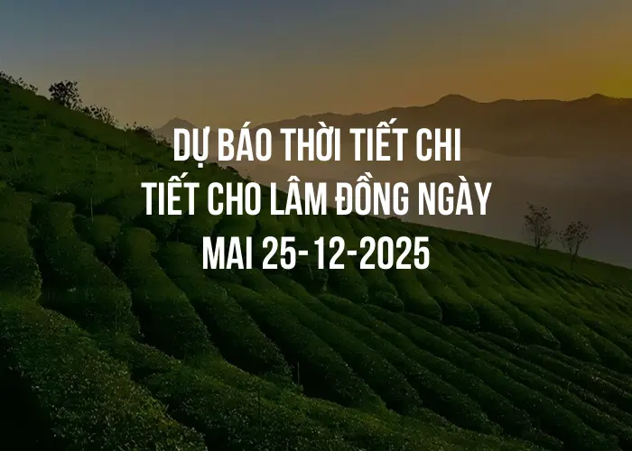 Dự báo thời tiết chi tiết cho Lâm Đồng ngày mai 25-12-2025