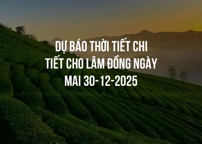 Dự báo thời tiết chi tiết cho Lâm Đồng ngày mai 30-12-2025