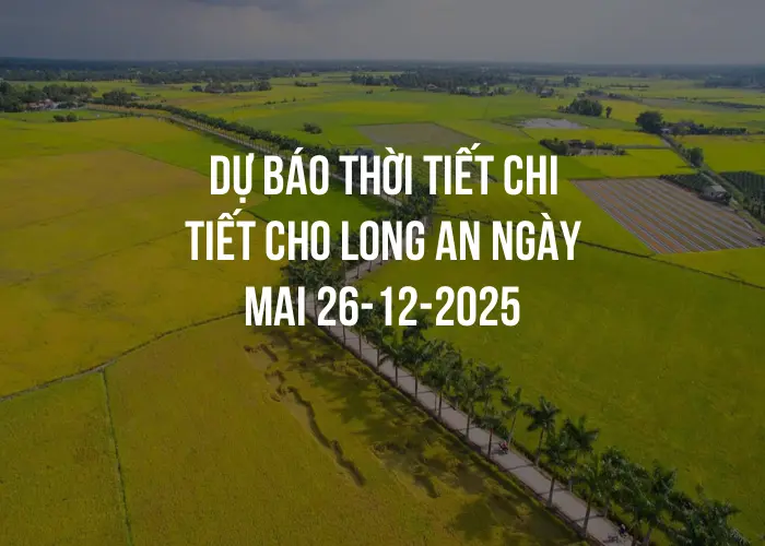 Dự báo thời tiết chi tiết cho Long An ngày mai 26-12-2025