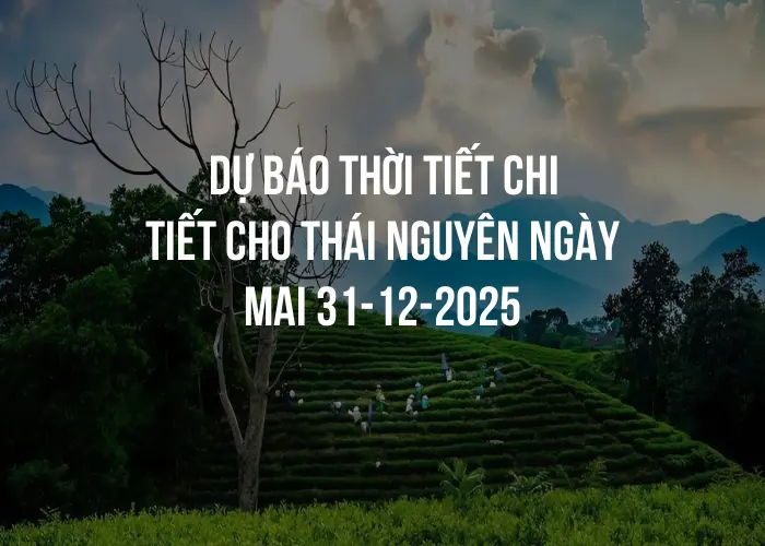 Dự báo thời tiết chi tiết cho Thái Nguyên ngày mai 31-12-2025