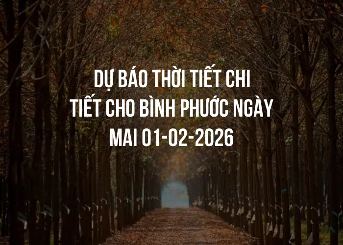 Dự báo thời tiết chi tiết cho Bình Phước ngày mai 01-02-2026