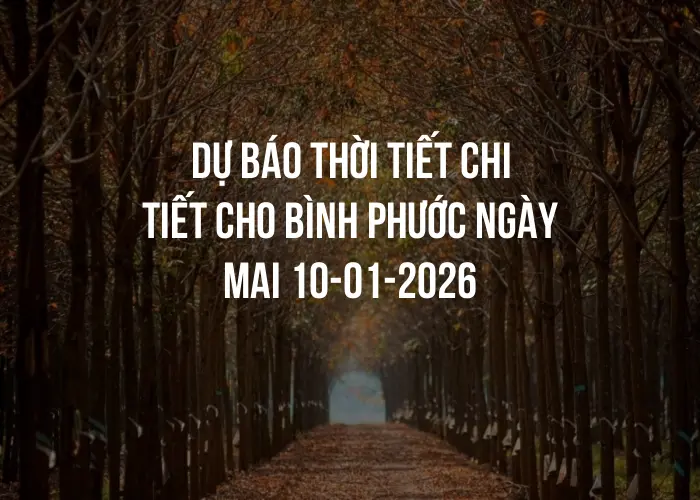 Dự báo thời tiết chi tiết cho Bình Phước ngày mai 10-01-2026