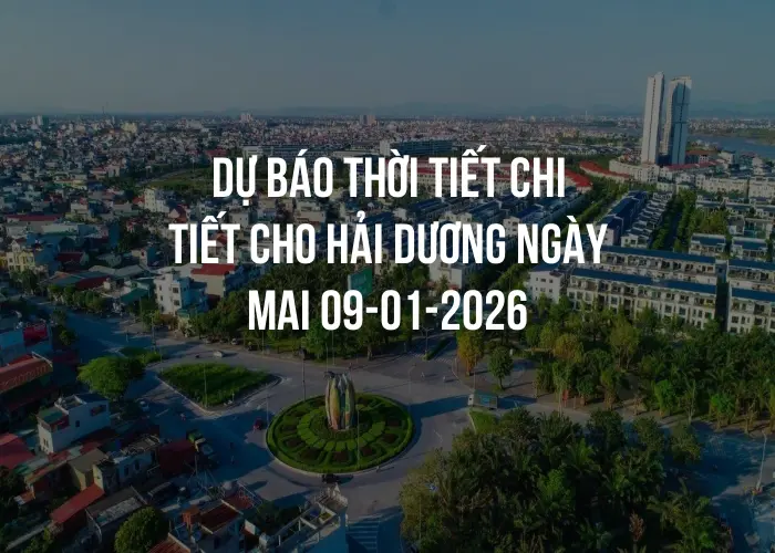 Dự báo thời tiết chi tiết cho Hải Dương ngày mai 09-01-2026