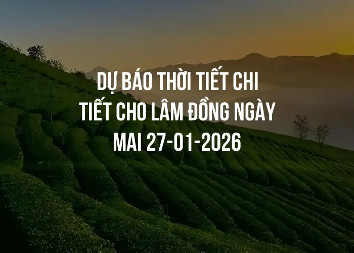 Dự báo thời tiết chi tiết cho Lâm Đồng ngày mai 27-01-2026