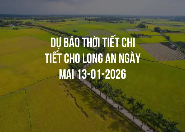 Dự báo thời tiết chi tiết cho Long An ngày mai 13-01-2026