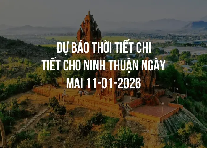 Dự báo thời tiết chi tiết cho Ninh Thuận ngày mai 11-01-2026