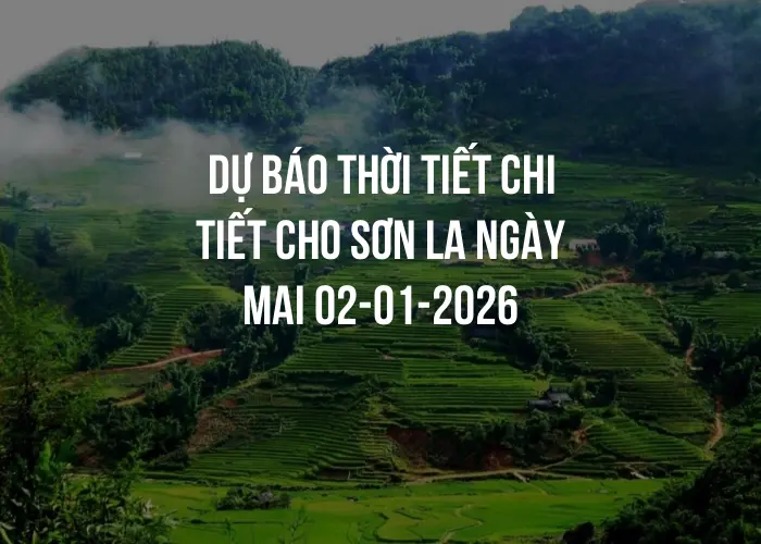 Dự báo thời tiết chi tiết cho Sơn La ngày mai 02-01-2026