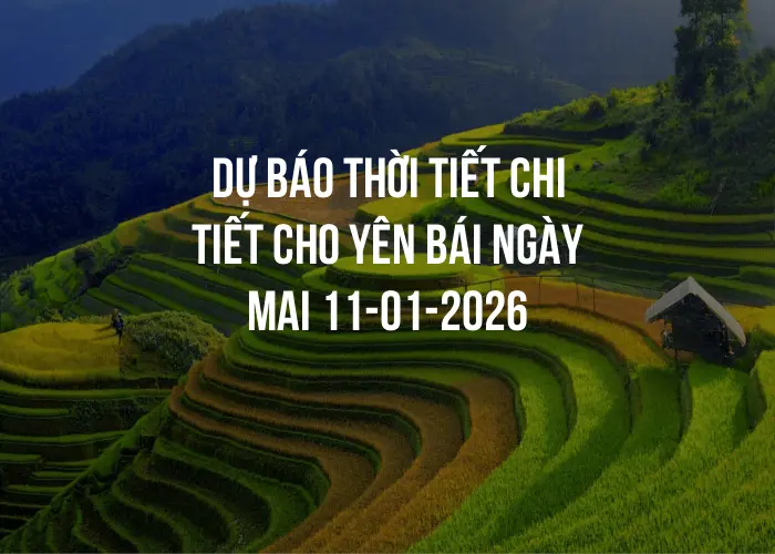 Dự báo thời tiết chi tiết cho Yên Bái ngày mai 11-01-2026