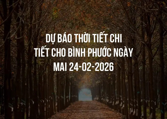 Dự báo thời tiết chi tiết cho Bình Phước ngày mai 24-02-2026
