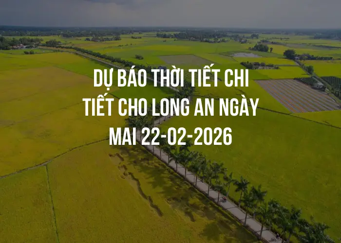 Dự báo thời tiết chi tiết cho Long An ngày mai 22-02-2026