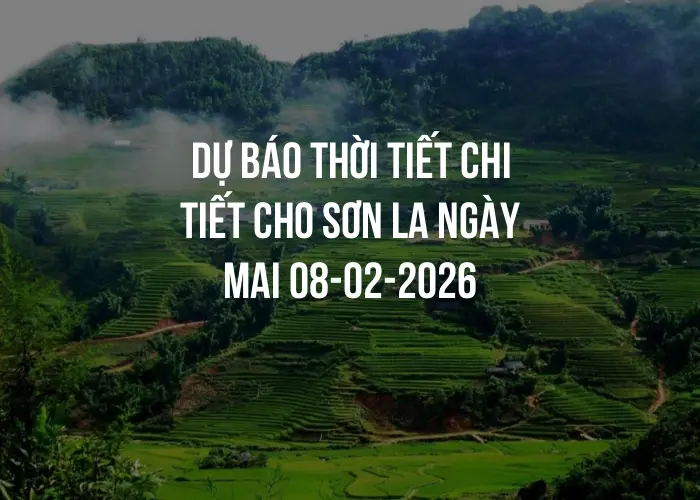 Dự báo thời tiết chi tiết cho Sơn La ngày mai 08-02-2026