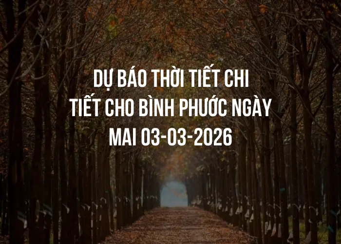 Dự báo thời tiết chi tiết cho Bình Phước ngày mai 03-03-2026