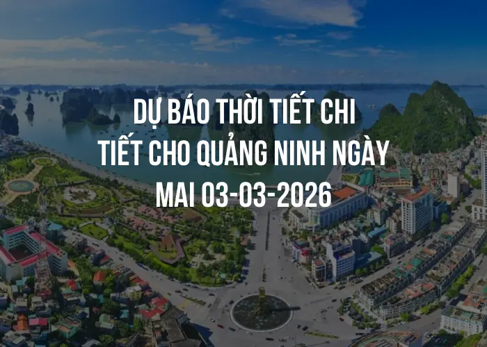 Dự báo thời tiết chi tiết cho Quảng Ninh ngày mai 03-03-2026