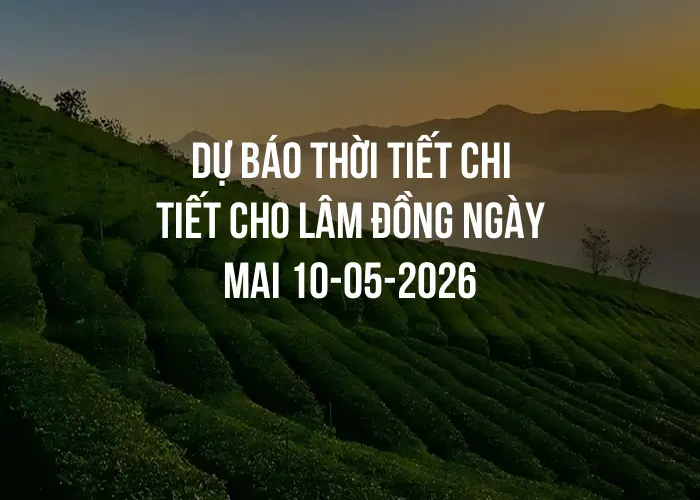 Dự báo thời tiết chi tiết cho Lâm Đồng ngày mai 10-05-2026