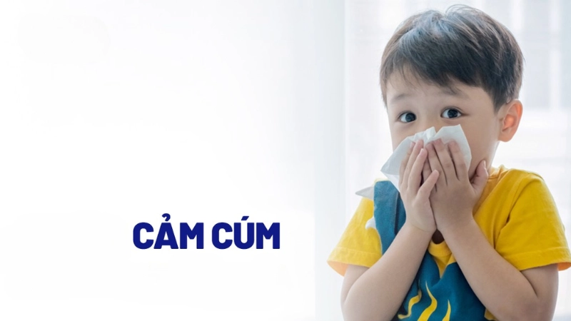 Tổng hợp hình ảnh bệnh cảm cúm phổ biến dễ nhận biết