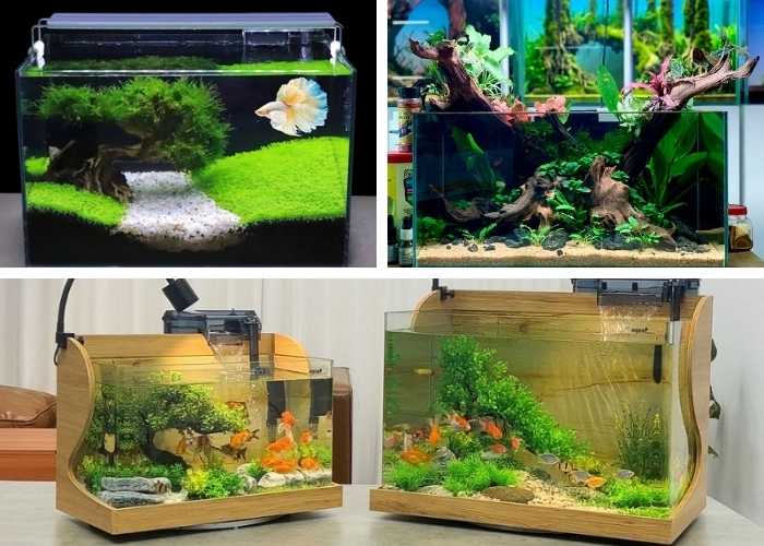 Mẫu bể cá thủy sinh - Hút tài lộc, mang bình an đến nhà