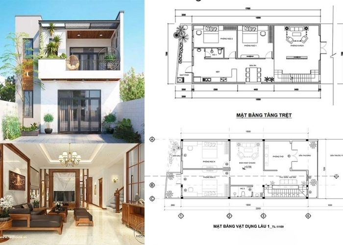 Xu hướng mẫu nhà có tầng trệt đẹp nổi bật năm 2025